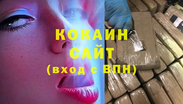 МДПВ Протвино